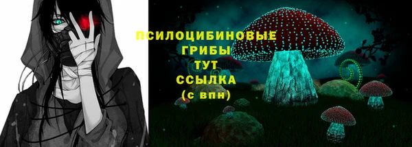 дмт Володарск