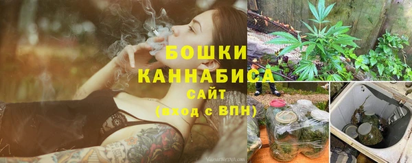 PSILOCYBIN Волоколамск