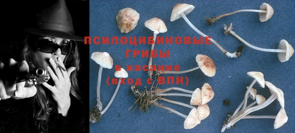 PSILOCYBIN Волоколамск